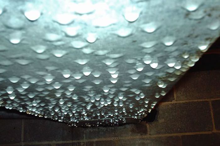 1.13 Crawlspace Condensation