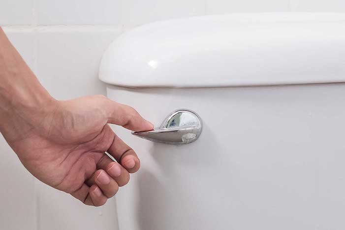 hand press and flush toilet. Cleaning, Lifestyle and personal hygiene concept