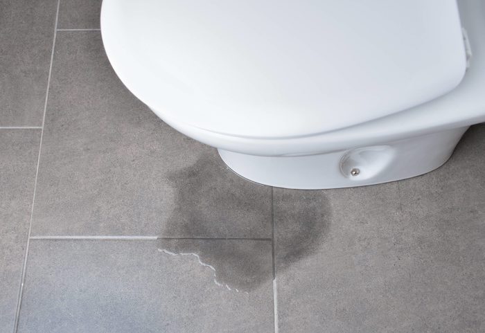 6.12 Toilet Seal Leak