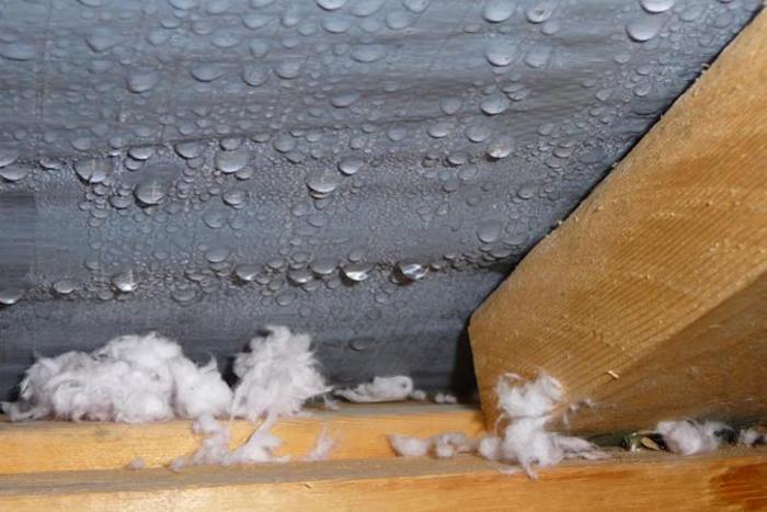 8.3 Attic Condensation