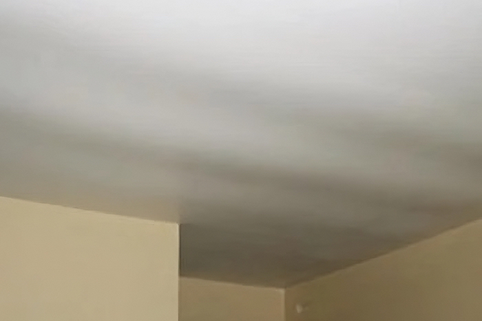 9.1 Ceiling Wavy (1)