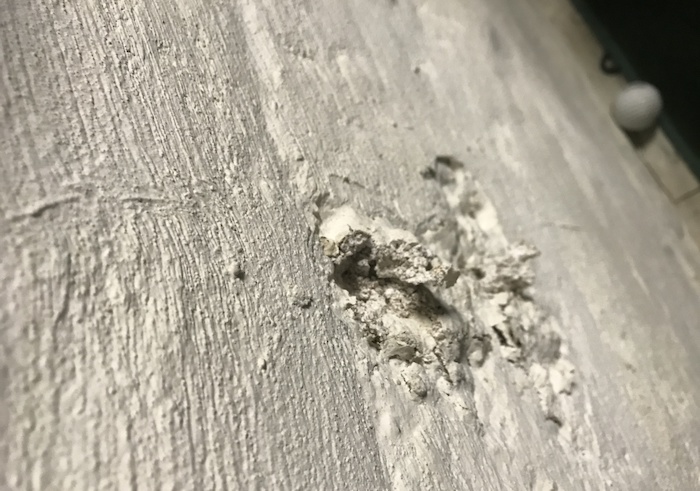 Interior Concrete Flaking
