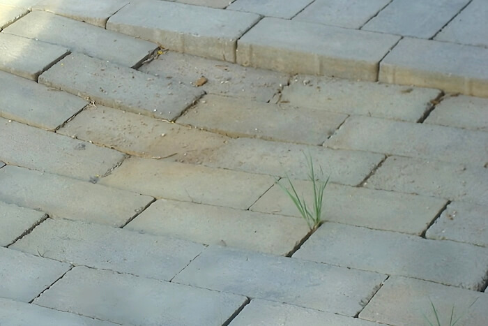 14.10 Pavers Settled (1)