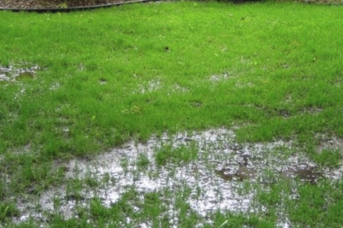14.14 Lawn Pond